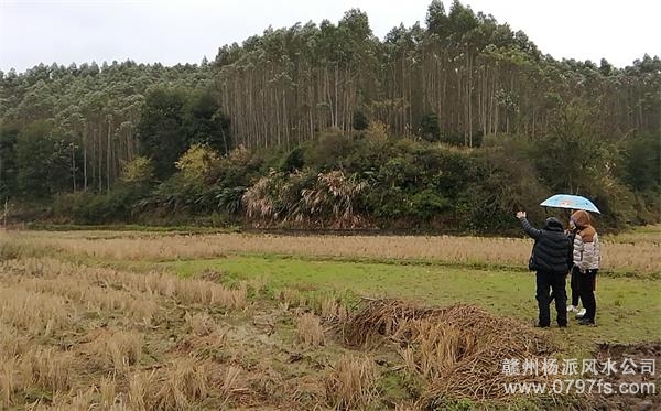 白山市陈老师带着爱徒寻龙点穴